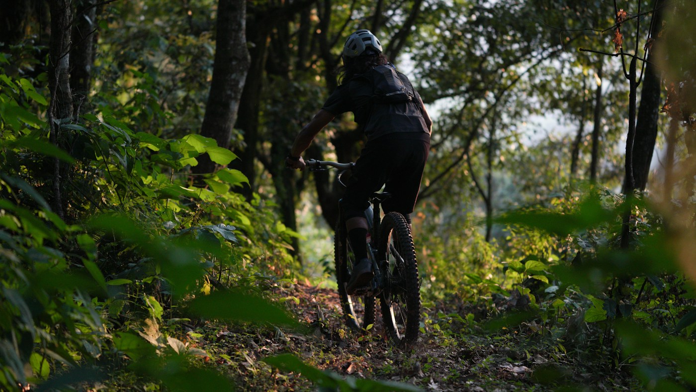 A mountain biker following a green forest trail