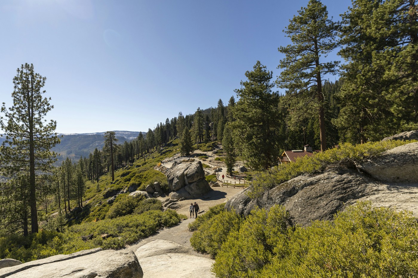 Hikers following a rocky trail through forest